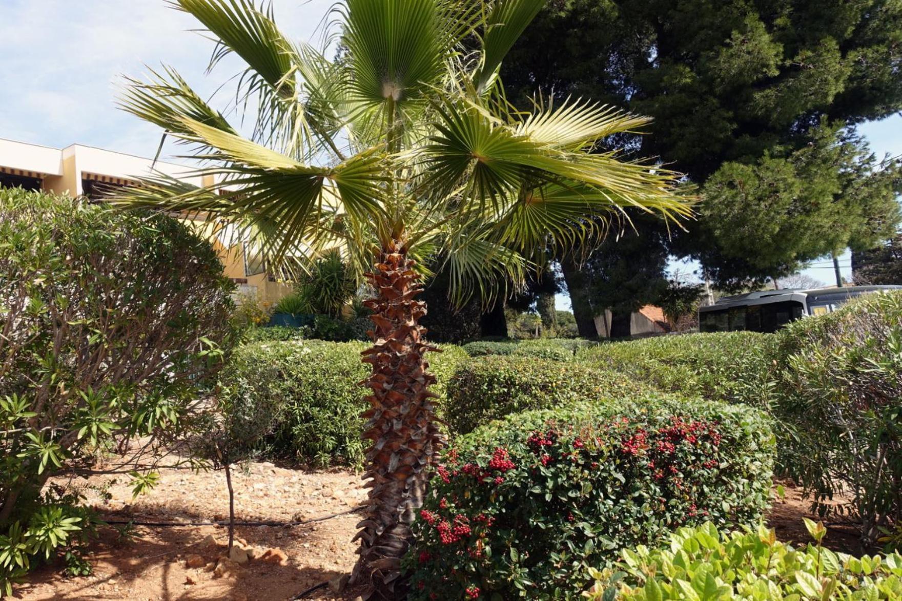 Les Jardins De Bandol, Piscine Privee, Belle Vue Mer Ngoại thất bức ảnh