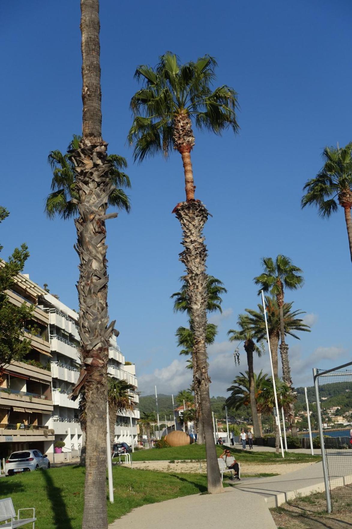 Les Jardins De Bandol, Piscine Privee, Belle Vue Mer Ngoại thất bức ảnh