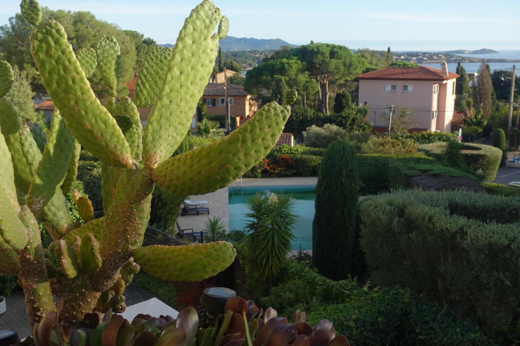 Les Jardins De Bandol, Piscine Privee, Belle Vue Mer Ngoại thất bức ảnh